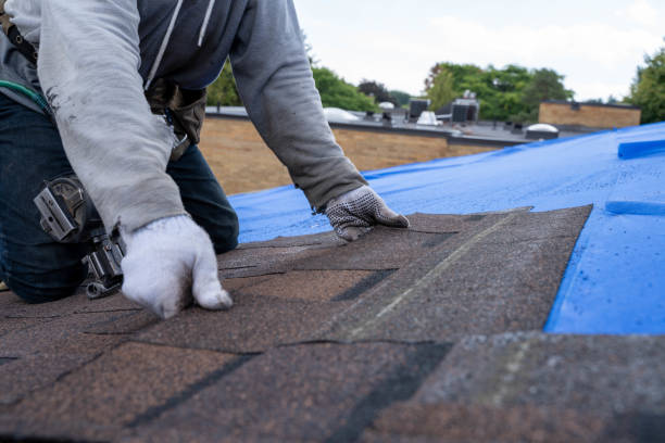 Best Roof Waterproofing Services  in Lauderdale Lakes, WI