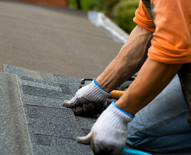 Best Local Roofing Companies  in Lauderdale Lakes, WI